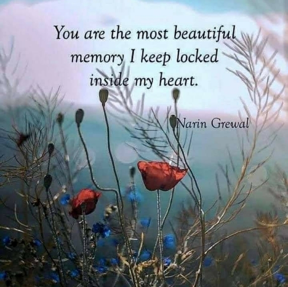 Butterfly Love🦋 - Picture 3 of 5